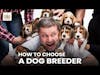 How to Choose a Dog Breeder | Dr. Jerry Klein, DVM Deep Dive