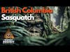 Uncovering the Life of Sasquatch Researcher Thomas Steenburg // Bigfoot Society 223