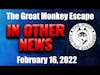 Episode 157 - The Great Monkey Escape