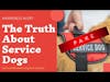 The Truth About Service Dogs and How Fakes Hurt Everyone