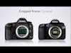 Photographer's Clinic 2 - Cropped Frame Cameras