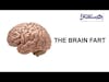 Brain Fart Interview