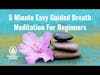 5 Minute Easy Guided Breath Meditation For Beginners - MeditationLifeSkills.com
