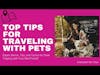 Tips for Traveling With Pets: Expert Advice, Tips, and Tricks