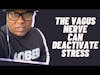 Sober is Dope Geek explains How the Vagus Nerve Can Deactivate Stress and Induce Healing #short