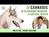 Cannabis in Veterinary Medicine: A Critical Review | Dr. Trina Hazzah Deep Dive