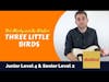 Three Little Birds by Bob Marley - Easy Beginner Acoustic Guitar Lesson