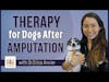 Therapy After Leg Amputation for Dog | Dr. Erica Ancier Deep Dive
