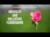Incivility and Collective Flourishing - Live Well & Flourish Podcast