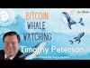 Bitcoin Whale Watching | Timothy Peterson | Hot Wallet