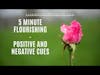 Positive and Negative Cues for Personal Flourishing (5MF)