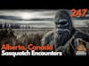 Megan Moonchild - Cree Heritage & Unraveling Sasquatch Mysteries / Bigfoot Society Episode 247