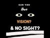 Can you have vision with no Sight!