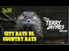 CITY RATS VS. COUNTRY RATS - The Terry Jaymes Show #tjs30