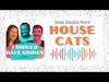 House Cats - Can you guess the lie among these four facts? - Animal Kingdom Month
