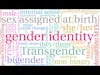 Gender Identity & Trans Rights - A Discussion with Hontas Farmer