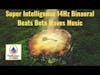Super Intelligence 14Hz Binaural Beats Beta Waves Music