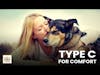 How Type C for Comfort Treats Dog Cancer | Molly Jacobson Deep Dive