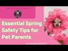 Essential Spring Safety Tips for Pet Parents