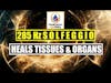 Unbelievable 285Hz Healing | Unlock Full Body Regeneration Now! | Heals Tissues & Organs