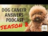 Dog Cancer Answers Season 2 Trailer