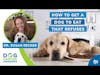 How to Get a Dog to Eat That Refuses To Do So | Dr. Susan Recker