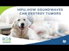 HIFU: How Sound Waves Can Destroy Tumors | Dr. Joanne Tuohy