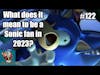 Chatsunami - What Does it Mean to be a Sonic Fan in 2023?