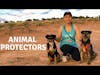 Animal Protectors: Rescuing Animals at the Navajo Nation During The Pandemic