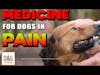 Medicine for Dogs in Pain | Dr. Demian Dressler Deep Dive