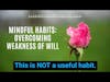Mindful Habits: Overcoming Weakness Of Will (5MF)