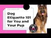 Mastering Dog Etiquette: Essential Tips For You And Your Pup