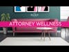 Raising the Bar For Attorney Wellness - with Jeralyn Lawrence