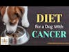 Diet for a Dog with Cancer | Dr  Sue Ettinger Deep Dive