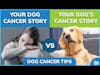 Your Dog Cancer Story | Molly Jacobson