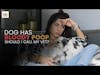 Dog Has Bloody Poop: Should I Call My Vet? | Dr. Nancy Reese Deep Dive