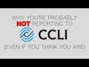 Why You're NOT Reporting to CCLI