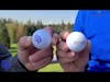 Northlands Golf Course golf ball hunt