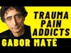@Dr Gabor Maté Why Addiction is Not a Brain Disease or Choice