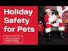 Holidays Safety for Pets_Tips from an ER Vet