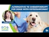 Alternative to Chemotherapy for Dogs with Osteosarcoma | Tammie Wahaus of ELIAS Animal Health