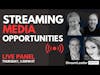 Opportunities for Smaller Streaming Media Companies | Live Panel
