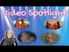 Video Spotlight ep. 2