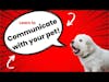 Secrets for Communicating With Your Pets