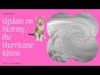 Stormy the hurricane Harvey kitten, grows up