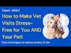 Top Tips for Making Vet Visits Less Stressful for You and Your Pet