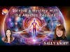 334. Access Healing Powers Through Frequency Alignment - Sally Knopp