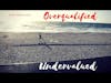 Undervalued, Over Qualified | FLEX DAILY Vlog 011