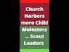 UMC Church Leaders helping Scout Leaders Molest Kids… until June #shorts
