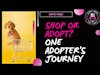 An Adopter's Journey  From Shopping to Adopting